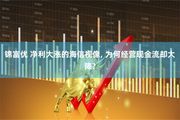 锦富优 净利大涨的海信视像, 为何经营现金流却大降?