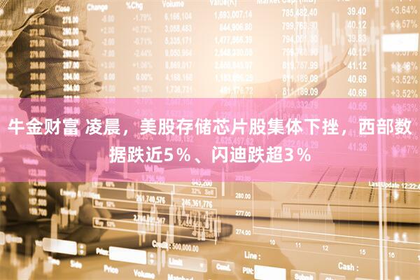 牛金财富 凌晨，美股存储芯片股集体下挫，西部数据跌近5％、闪迪跌超3％