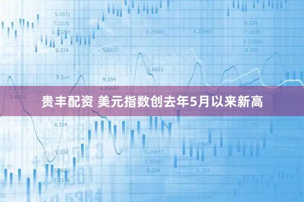 贵丰配资 美元指数创去年5月以来新高