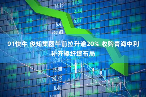 91快牛 俊知集团午前拉升逾20% 收购青海中利补齐棒纤缆布局