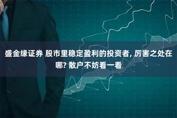 盛金缘证券 股市里稳定盈利的投资者, 厉害之处在哪? 散户不妨看一看